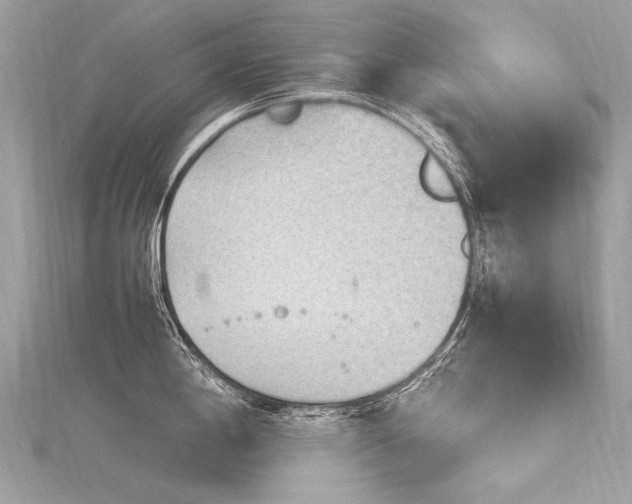 X0000116311198200911301456