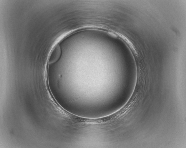 X0000116311199200911301456