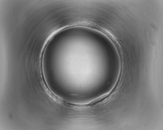 X0000116311200200911301456