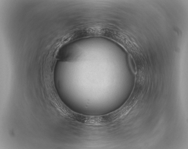 X0000116311201200911301456