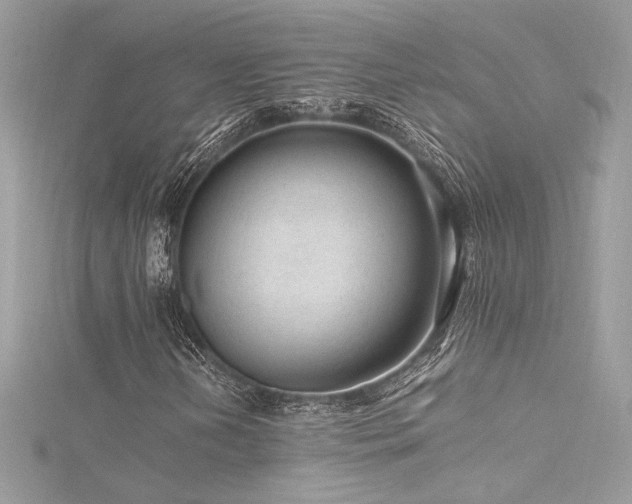 X0000116311202200911301456