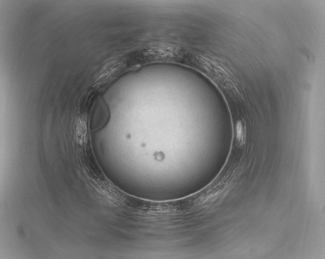 X0000116311203200911301456