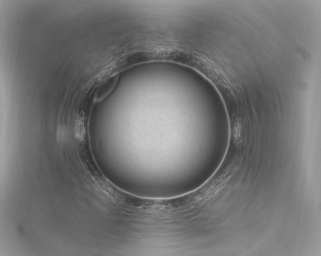 X0000116311204200911301456