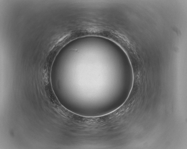 X0000116311205200911301456