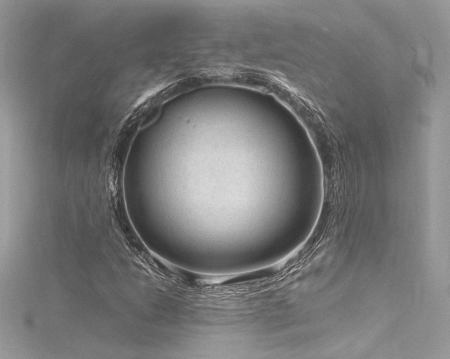 X0000116311206200911301456