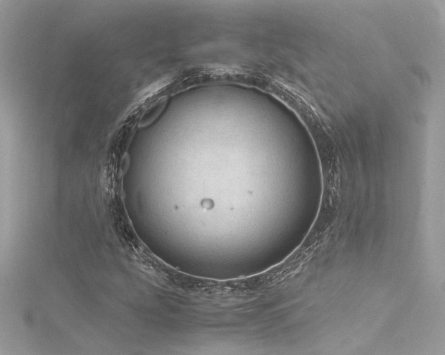 X0000116311207200911301456