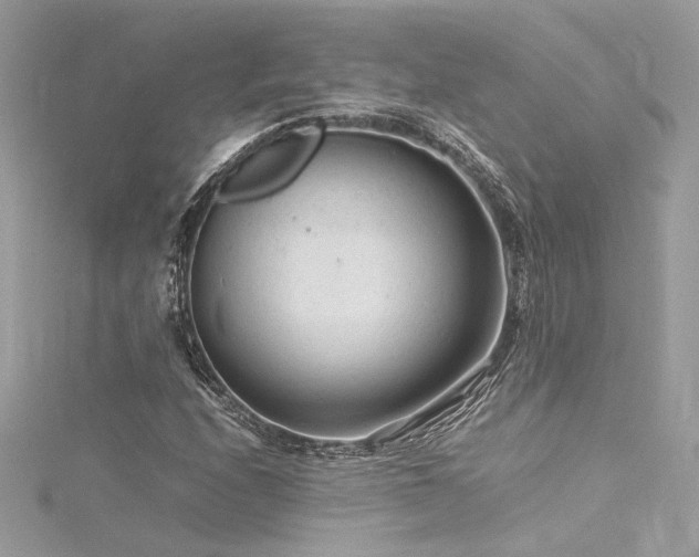 X0000116311208200911301456