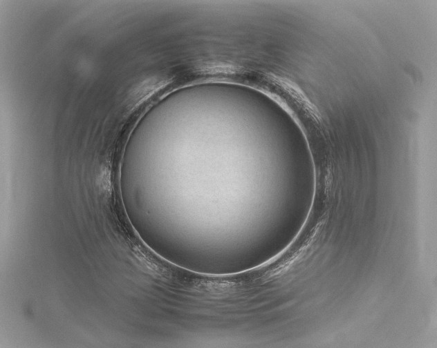 X0000116311209200911301456