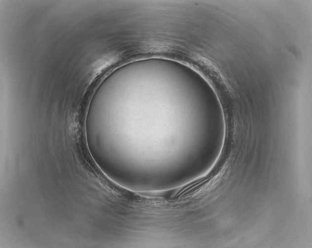 X0000116311210200911301456