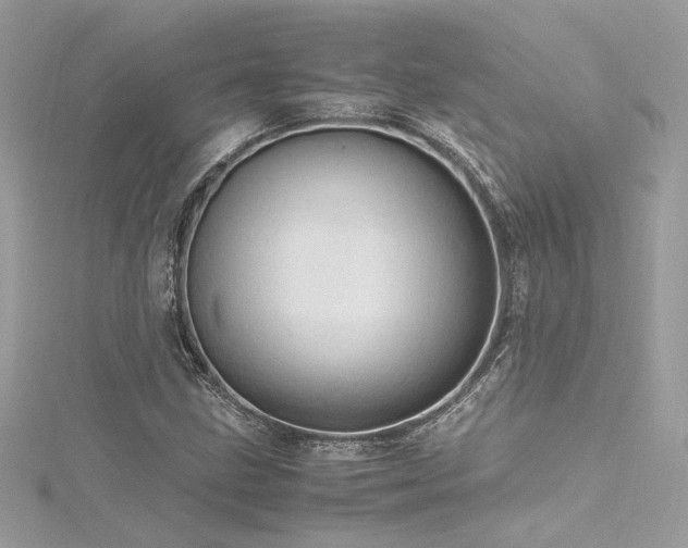 X0000116311211200911301456