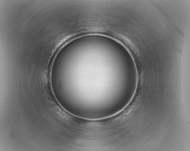 X0000116311212200911301456