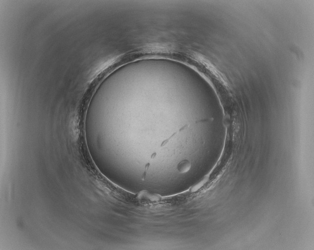 X0000116311213200911301456