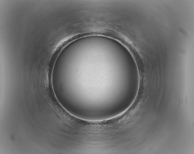 X0000116311214200911301456