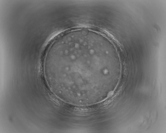 X0000116311215200911301456