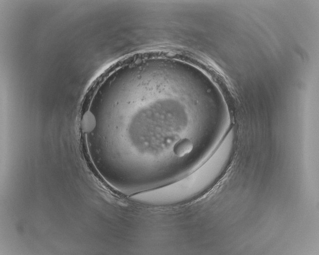 X0000116311216200911301456