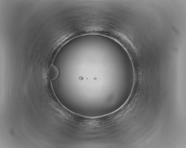 X0000116311217200911301456