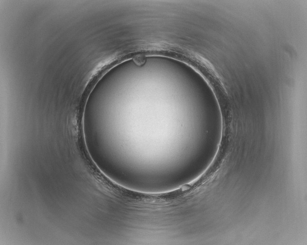 X0000116311218200911301456