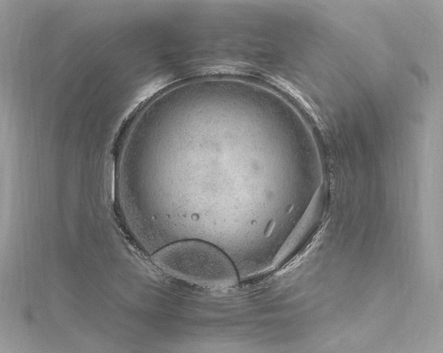 X0000116311219200911301456