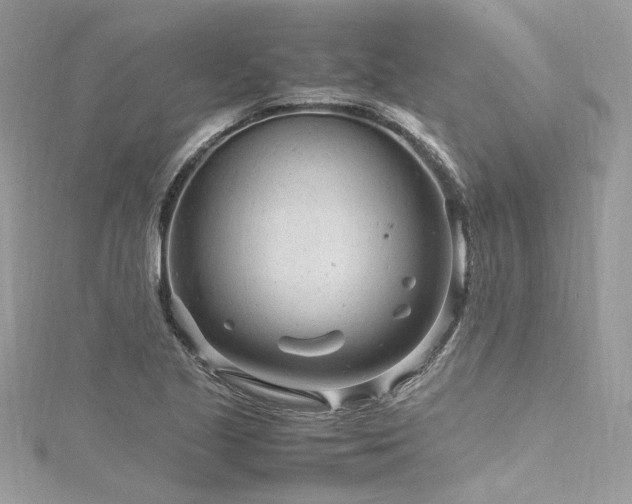 X0000116311221200911301456