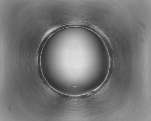 X0000116311222200911301456