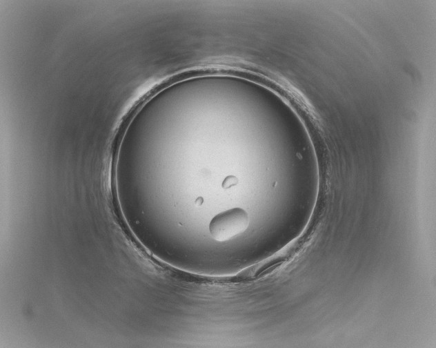 X0000116311224200911301456