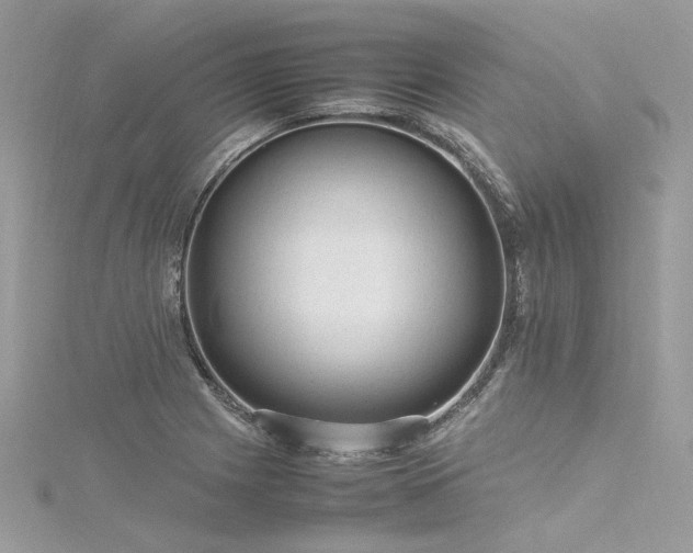 X0000116311225200911301456