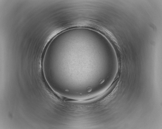 X0000116311226200911301456