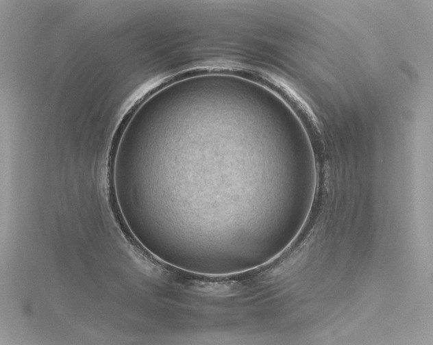 X0000116311229200911301456