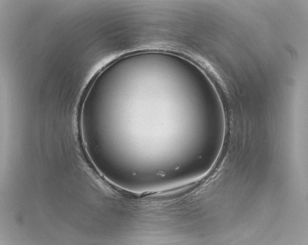 X0000116311230200911301456