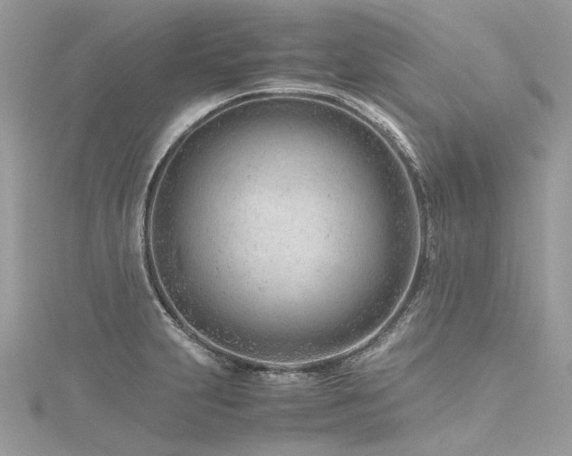 X0000116311231200911301456