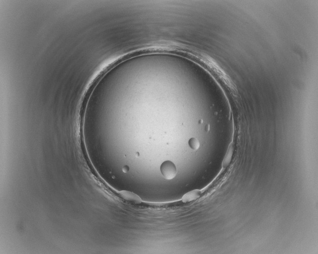 X0000116311232200911301456