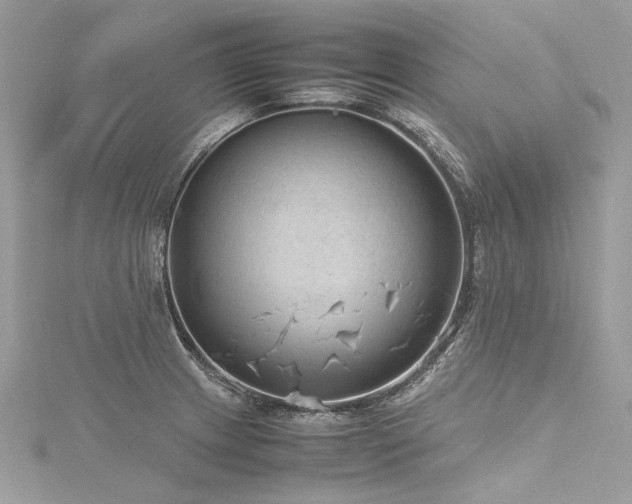 X0000116311233200911301456