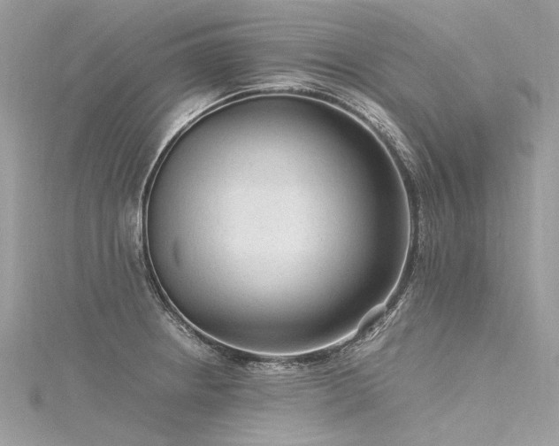 X0000116311234200911301456