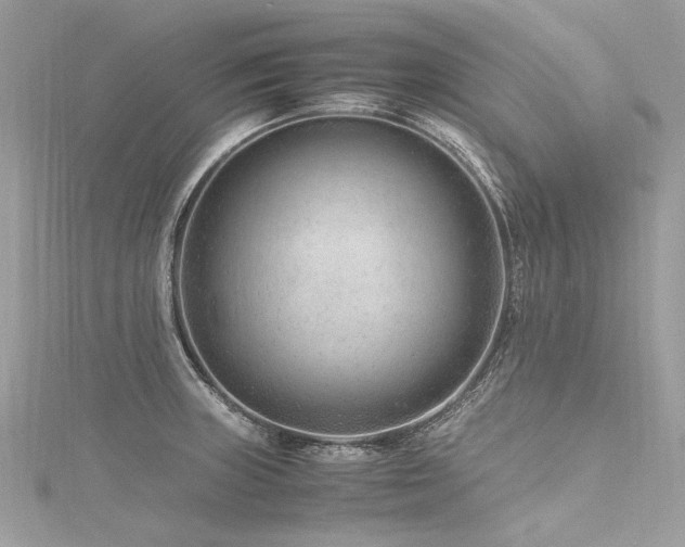 X0000116311235200911301456