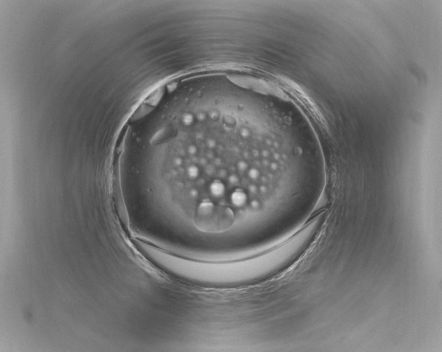 X0000116311236200911301456