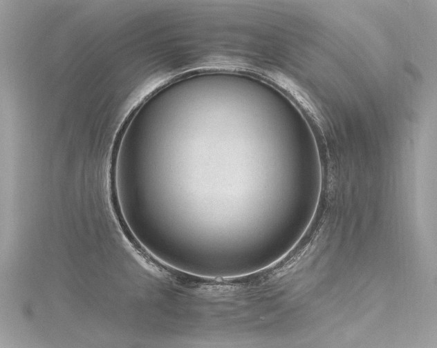 X0000116311237200911301456