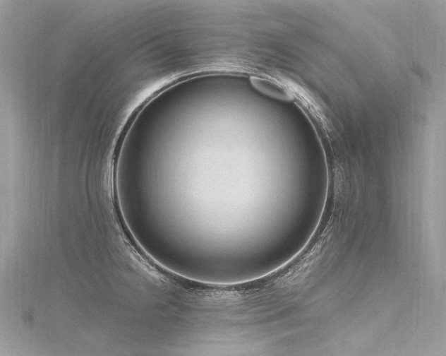 X0000116311238200911301456