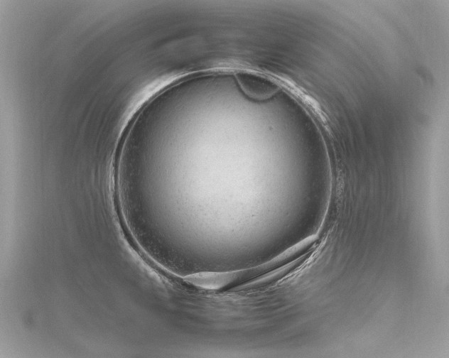 X0000116311239200911301456