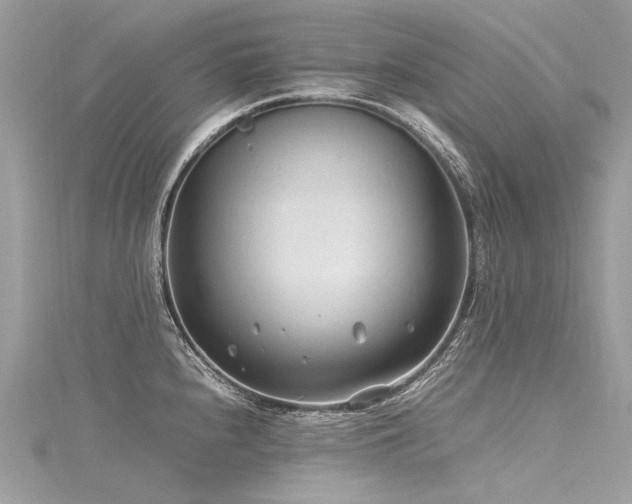 X0000116311240200911301456