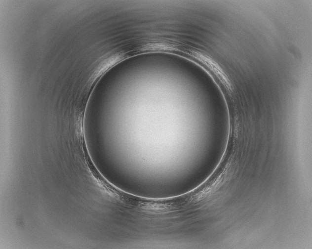 X0000116311241200911301456