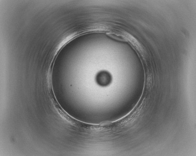 X0000116311242200911301456