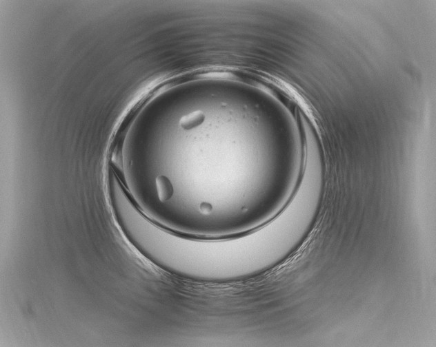 X0000116311243200911301456