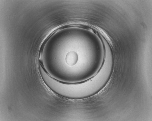 X0000116311244200911301456