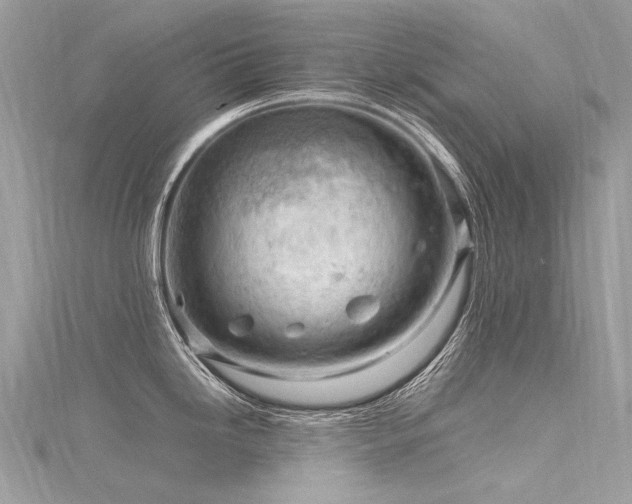 X0000116311246200911301456