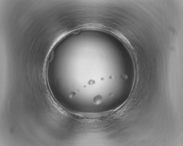 X0000116311248200911301456