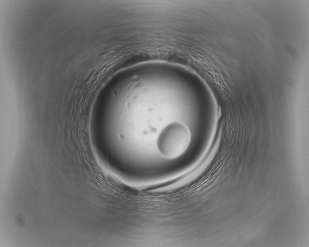 X0000116311249200911301456