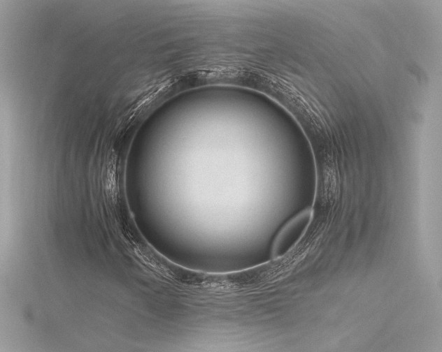 X0000116311250200911301456