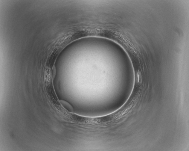 X0000116311251200911301455