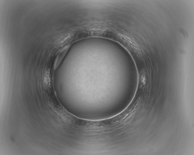 X0000116311252200911301455