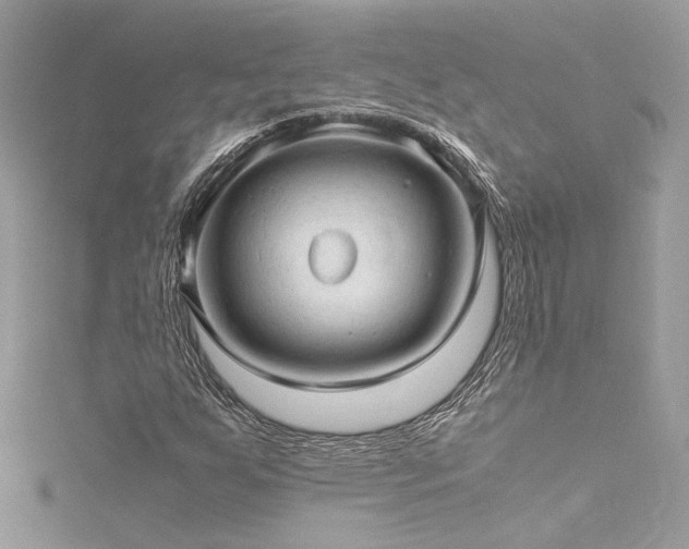 X0000116311255200911301455